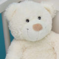 maison_suscino_toute_equipee_famille_bebes maison_suscino_toute_equipee_famille_bebes